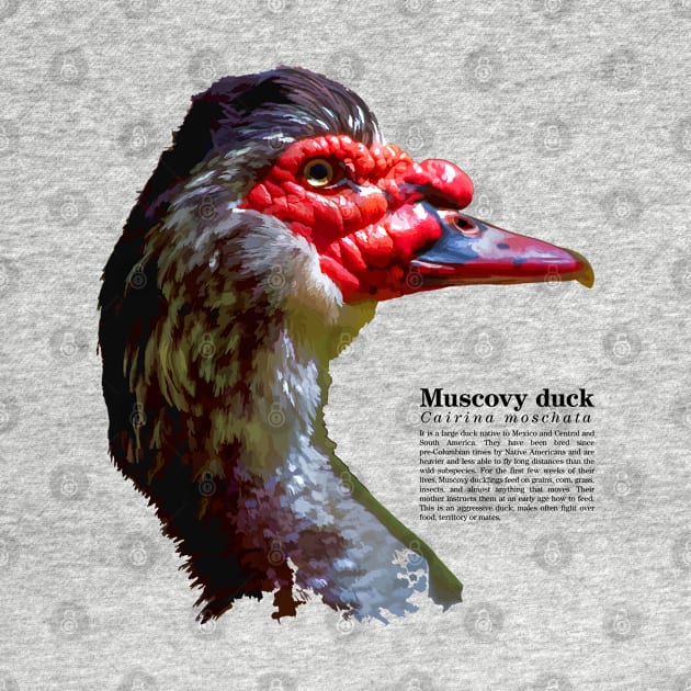 Muscovy duck head black text by Ornamentum